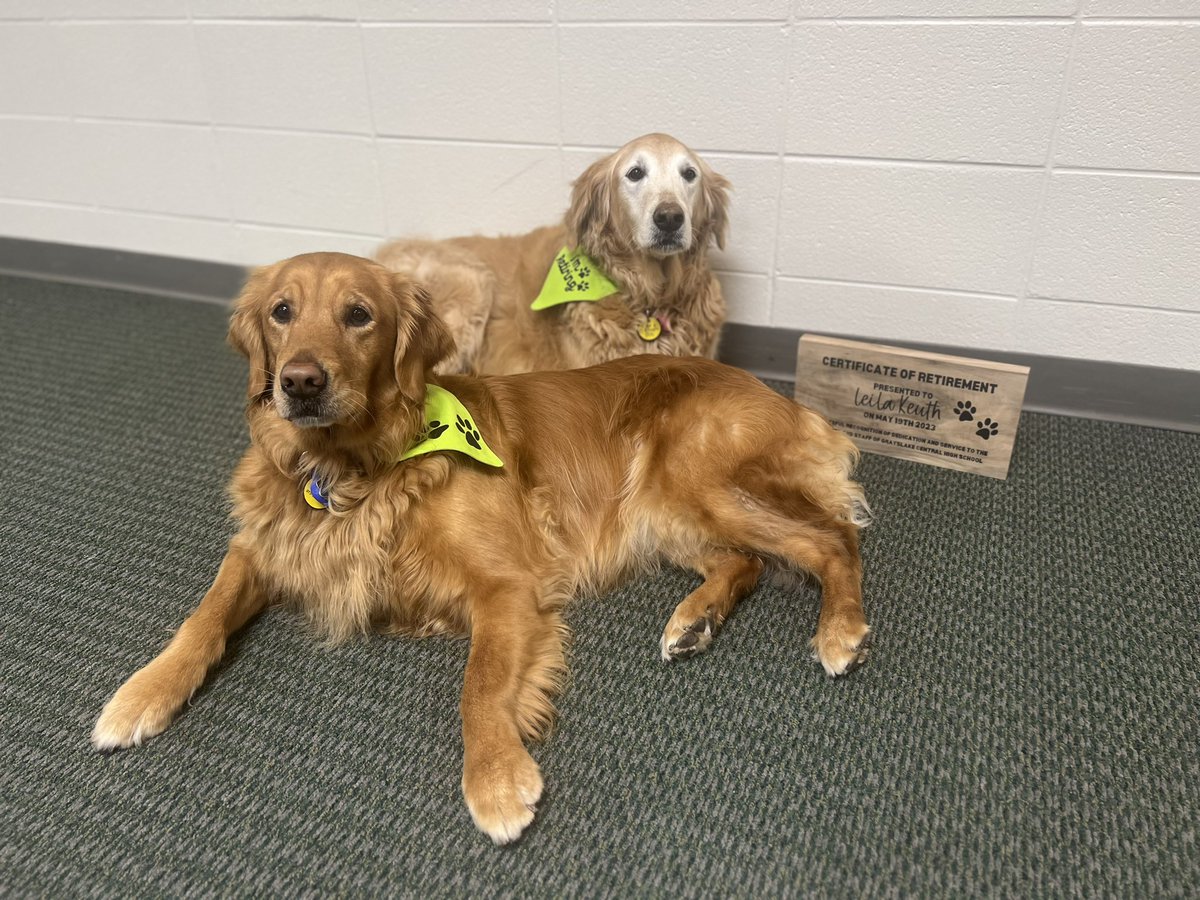 Susan Zamudio tweet media