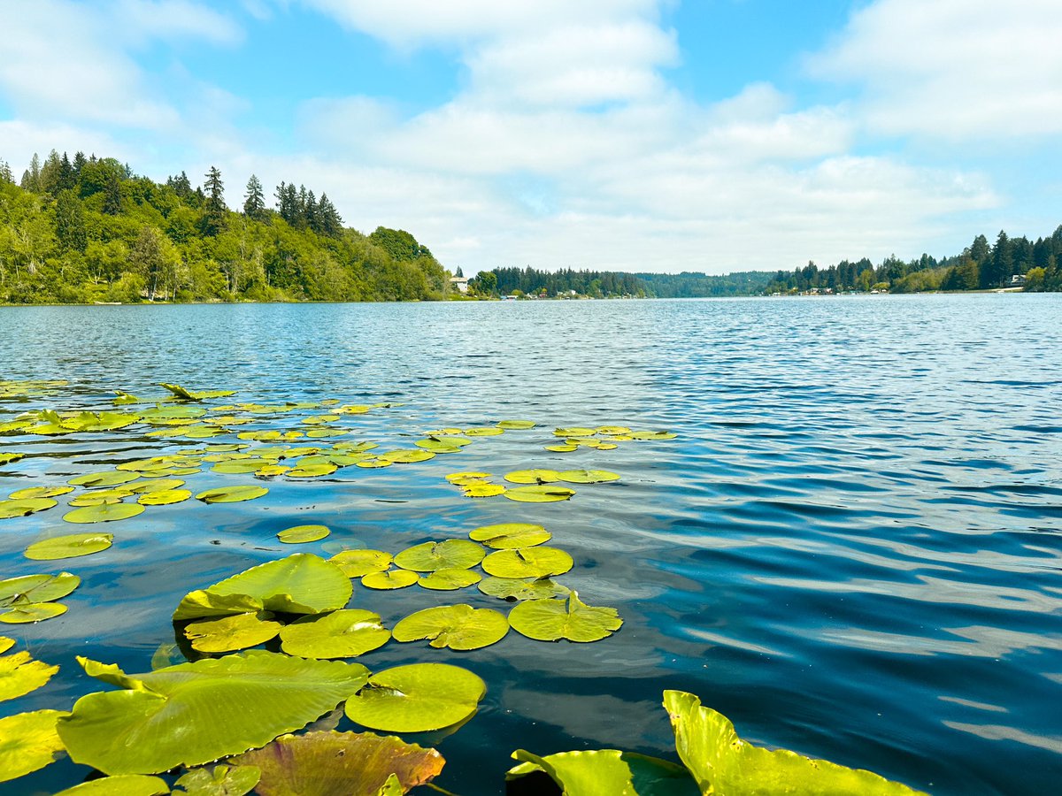 Becky Keene 🦋 tweet media