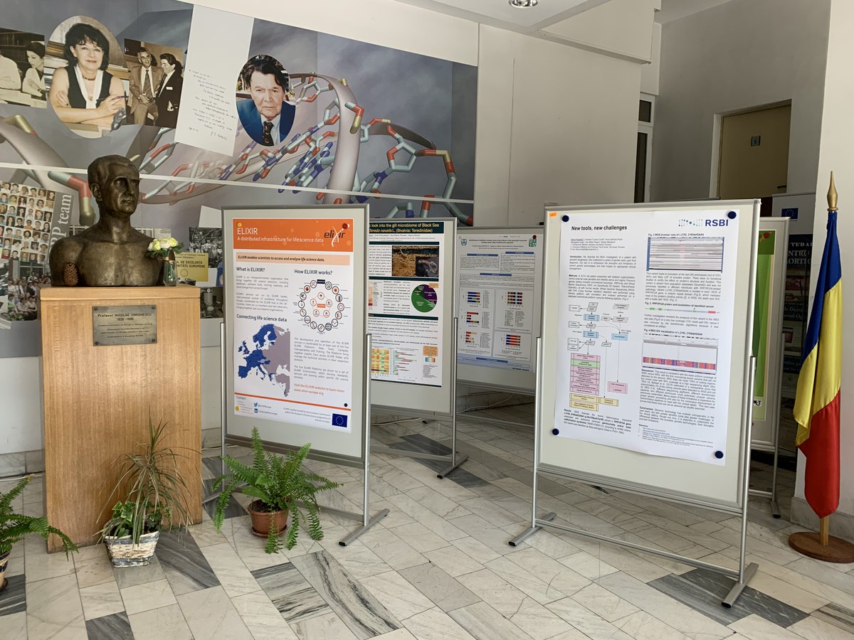 RoBioinfo's tweet photo. 🧬💻 👀 La Conferința “RoBioinfo 2023 au fost:
    - 24 de speakeri
    - 74 de participanți
    - 11 postere prezentate
    #NorwayGrants #GranturiNorvegiene #RSBI #bioinformatică #genomicaumana   #humangenomics #microbiom #microbiome #robioinfo   #2023RoBioinfoConference https://t.co/ZPU9nVbBrO