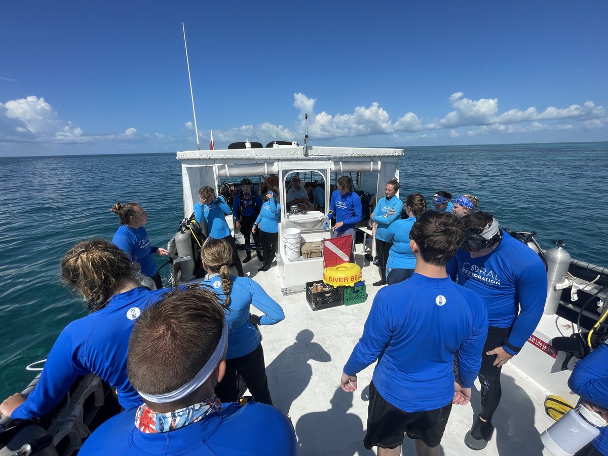 coralcrf's tweet image. Summertime is officially here #FridayFieldUpdate

Low winds led to some gorgeous days of reef restoration this week! Our restoration teams visited 3 reef sites, Carysfort, Eastern Dry Rocks, and Looe Key, and returned 820 corals to the wild! #generationrestoration