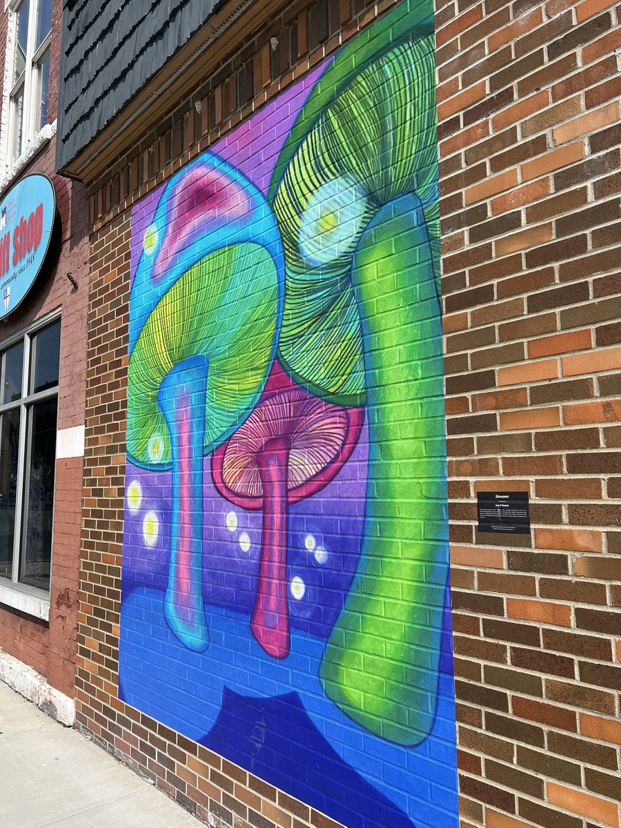 New art is up in downtown Sandusky! 🍄🍄🍄 

This piece, titled Shrooms, was created by artist Jen Robinson. There are numerous murals in downtown and we challenge you to take a walk this lovely weekend, find them all, and share your favorites with us.