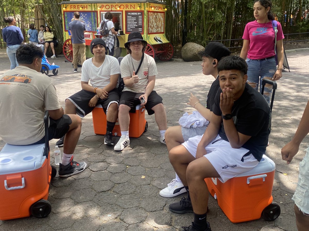 Michelle Allo tweet media