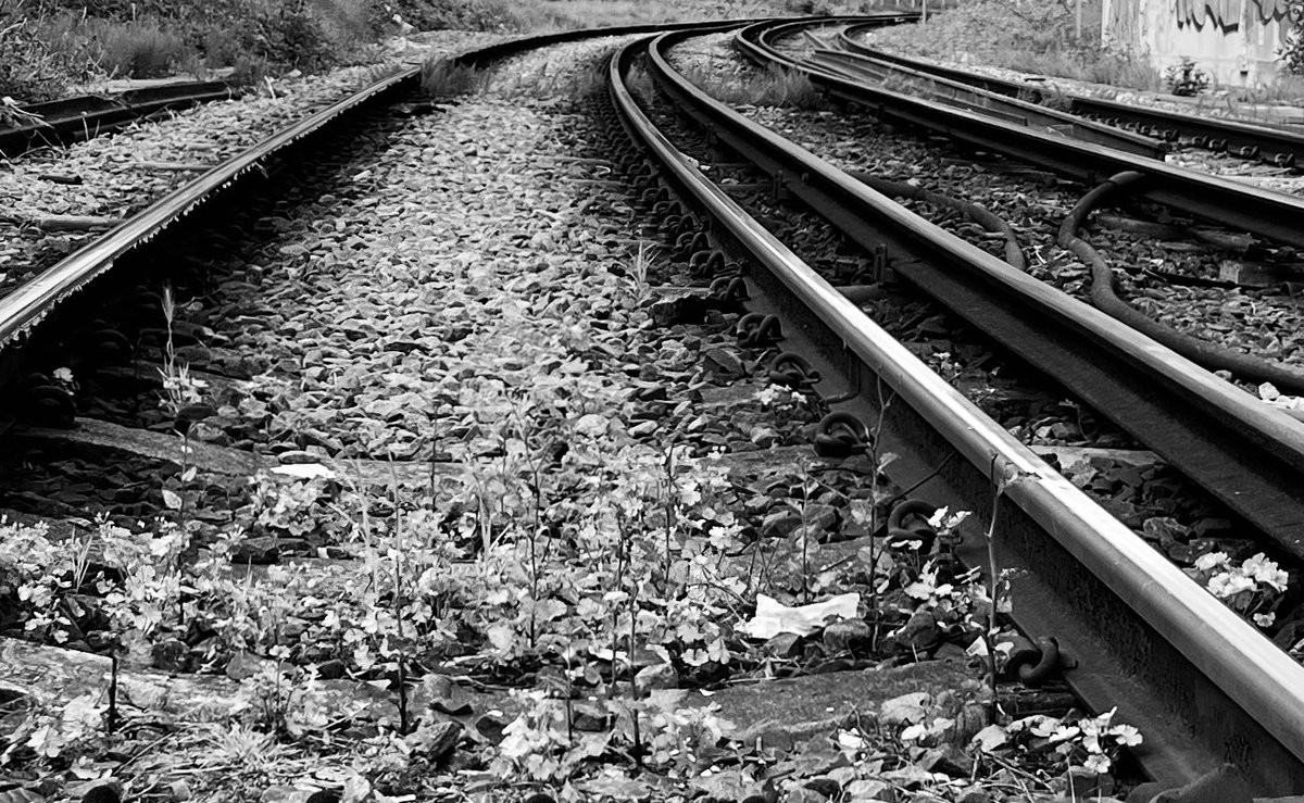 The Tracks #trains #railwayphotography #blackandwhite #monochrome