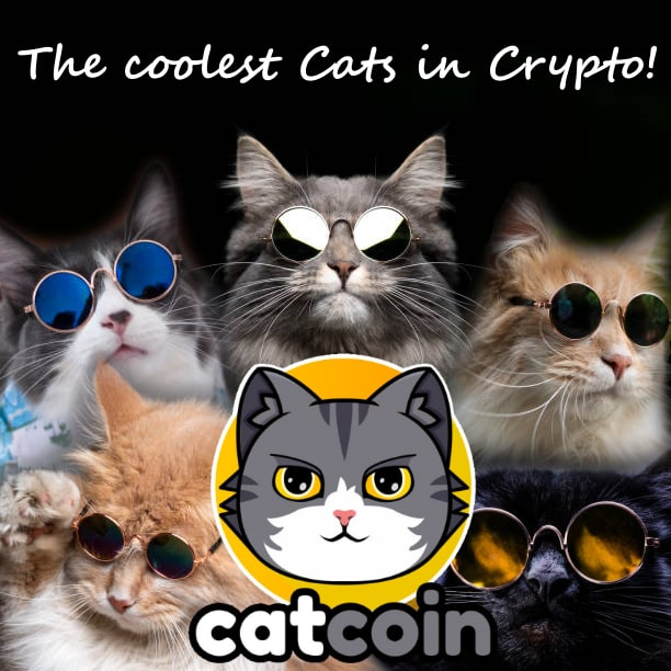 @gate_io #catcoin @officialcatcoin Best meme in crypto right now.