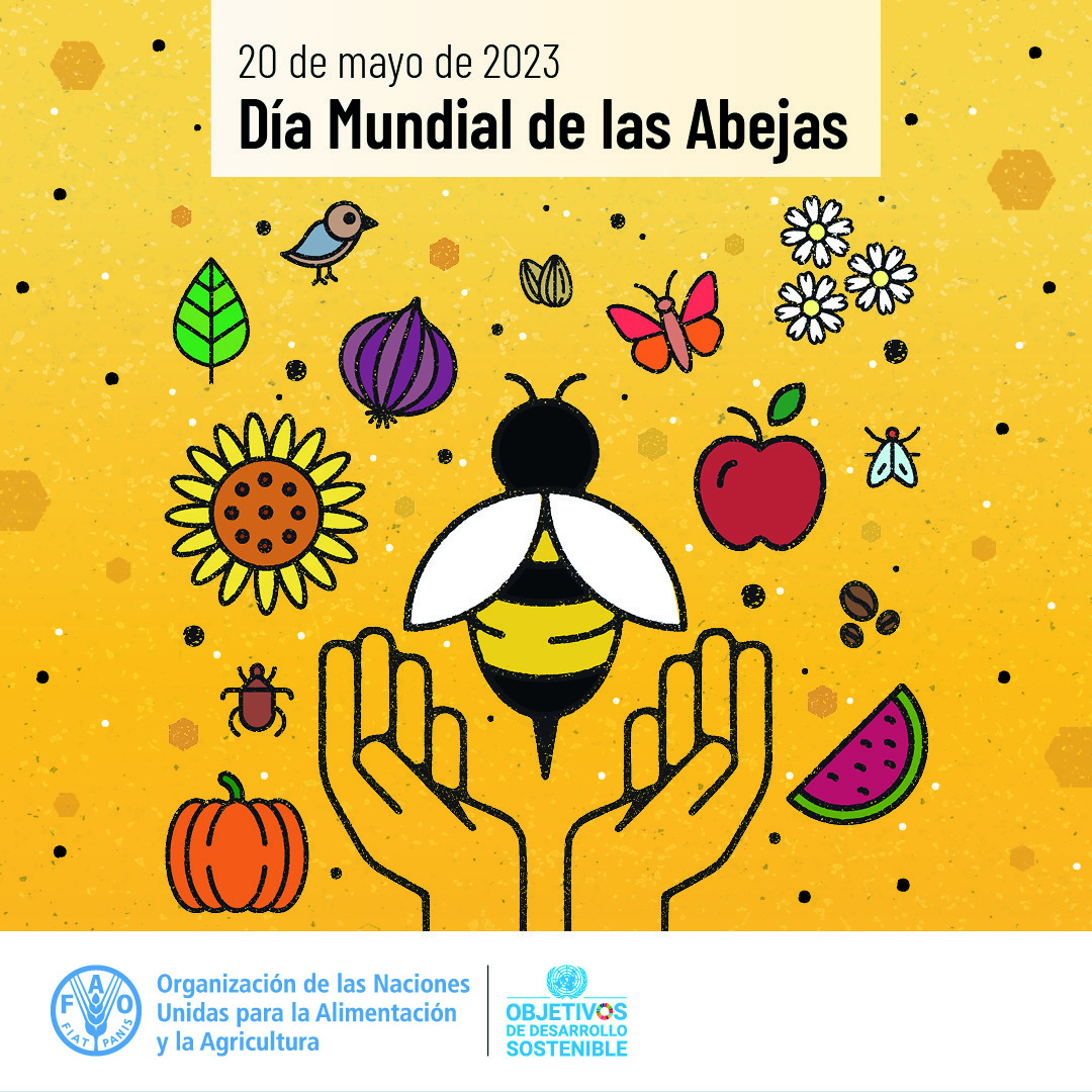 ¡Salvemos a las abejas!

Nuestro uso irresponsable de pesticidas está reduciendo la población de estos pequeños polinizadores.

Es hora de tomar #AcciónClimática y protegerlos. fao.org/world-bee-day/…