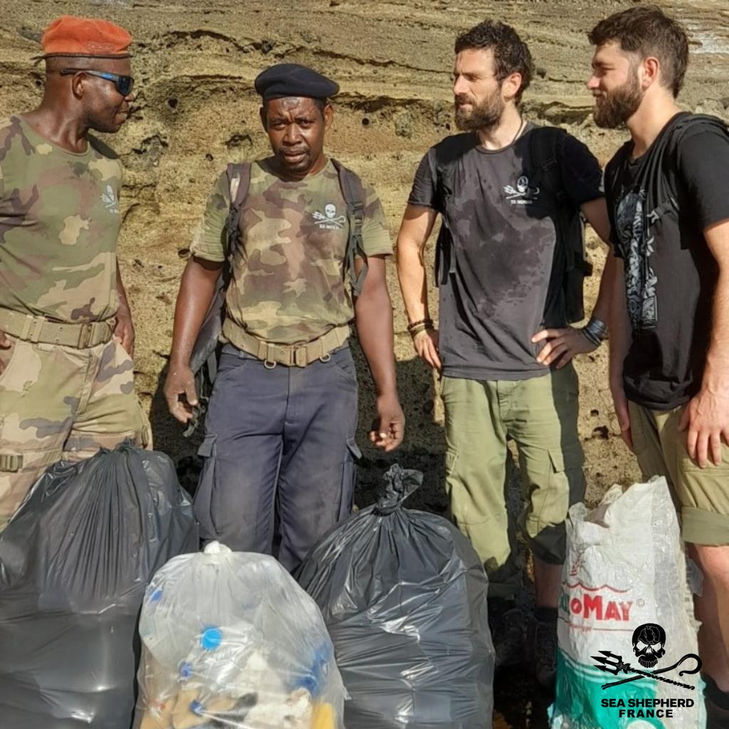 SeaShepherdFran's tweet photo. Mayotte : nos équipes sur place sont confrontées à une situation toujours dramatique pour les tortues victimes des braconniers. 

Malgré un "Pacte Tortues" mis en place par la préfecture en 2021, les tortues continuent de mourir en nombre sous les coups de machette et les plages de ponte sont jonchées de déchets. Des fonds publics ont pourtant été débloqués pour y remédier mais un problème de stratégie de fond empêche toute résolution efficace 

Nos équipes sont de retour à Mayotte depuis un mois et patrouillent chaque nuit du crépuscule à l'aube sur les plages de ponte. Notre constat est que malgré les communications qui se veulent rassurantes du préfet (notamment lors de la "fête de la tortue" du 13 mai dernier), et malgré quelques arrestations de braconniers, la situation ne s'est globalement pas améliorée pour les tortues. Nous découvrons de nombreuses carapaces récentes et les tentatives de braconnage restent nombreuses. 

Globalement : 

Les gardiens du Conseil départemental de Mayotte payés avec l'argent public pour protéger notamment la plage de Moya 1 et 2, principaux sites de pontes de petite Terre sont toujours absents au poste. Au petit matin après une longue nuit de patrouille notre équipe a dû nettoyer la plage de Moya 1 jonchée de déchets et de bois mort, rendant la mer inaccessible aux tortillons. 

Il y a 3 nuits, en arrivant sur la plage de Dapani, notre équipe trouve une tortue retournée sur le dos. Les braconniers l'avaient placée ainsi pour venir la tuer plus tard. Après l'avoir retournée et protégée jusqu'à son retour à l'océan, nous sommes restés en planque sur la plage et les braconniers sont revenus dans la nuit... Nous les avons fait fuir sans avoir pu les arrêter. 

C'est la deuxième fois en 3 semaines que nos équipes font fuir des braconniers. Nous avons veillé sur 835 tortues qui ont pu retourner saines et sauves jusqu'à l'océan. Notre présence sur l'île à l'année est toujours dans nos objectifs à court terme, hélas pour l'instant sans aucun appui de la préfecture avec laquelle il aurait pourtant été pertinent de collaborer pour une plus grande efficacité.

Pour en savoir plus sur l’opération Nyamba : 
https://t.co/VDtUx7nYsg

📸 : Avec nos amis de l’ASVM

@HerveBerville @Ecologie_Gouv
