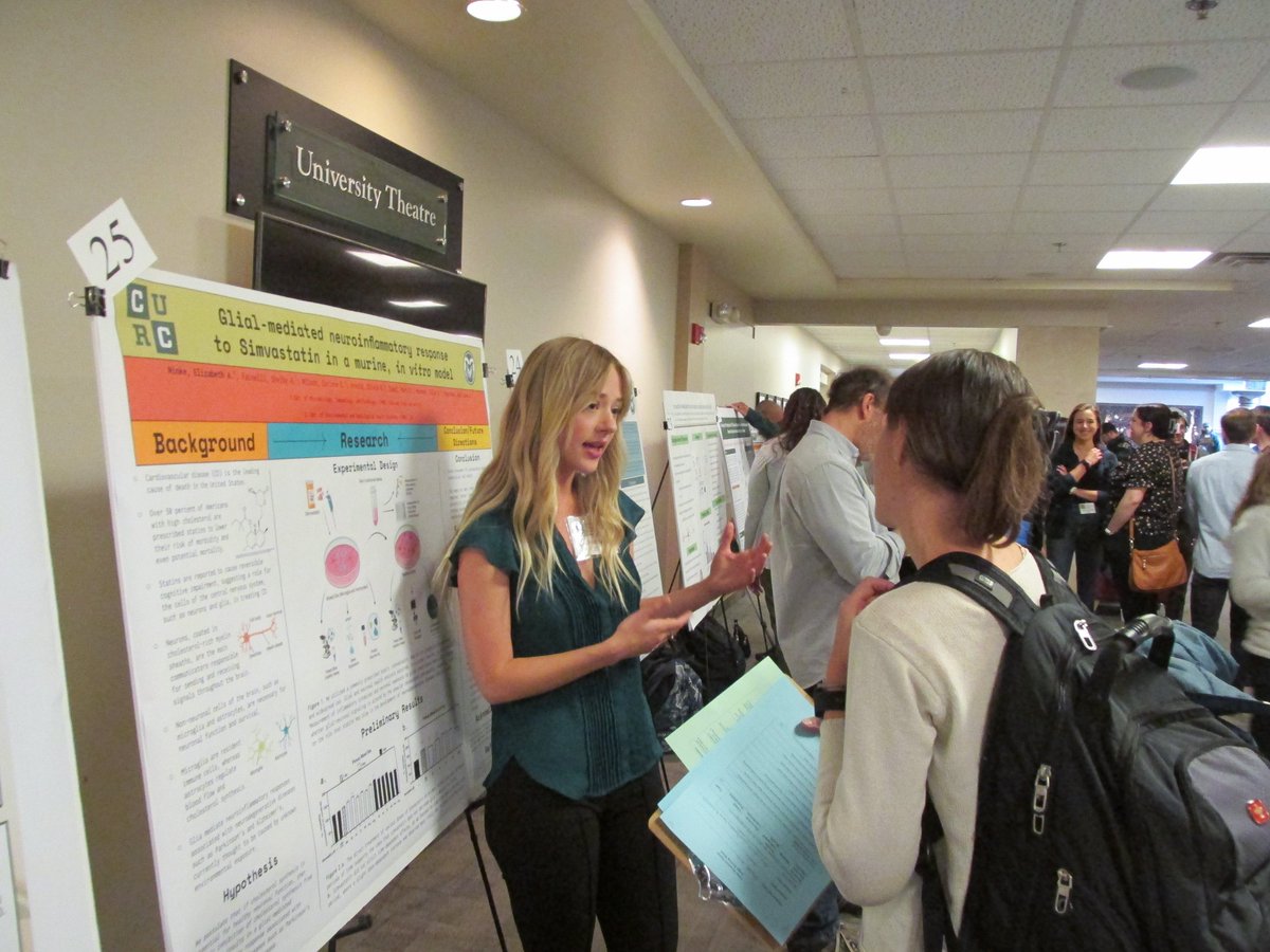 CSU_MIP's tweet image. Over 30 students represented #MIP research at the Celebrate #UndergraduateResearch &amp;amp; Creativity (#CURC) Showcase; some snagged top recognitions! 

View all research presented: symposium.foragerone.com/csu-curc2023/p….   

(📸: @AlanSchenkel) #UndergradInTheLab