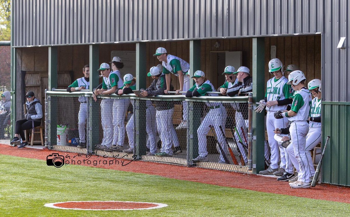 Celina Baseball tweet media