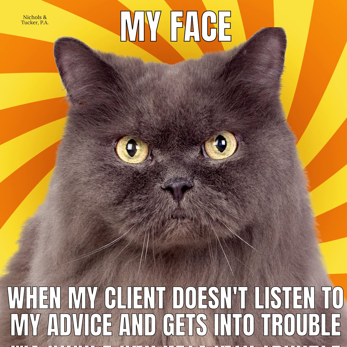 portlandMElaw's tweet photo. 🫵😾 Remember this face next time you ask a lawyer for legal advice, and don't listen. 😹 Happy Friday!! #Friyay #WeekendVibes #lawtwitter #Memes #XOKitty #Maine #legal #lawyer #law #YourMaineLawyer #MaineDefender https://t.co/H8rOf9RlDH