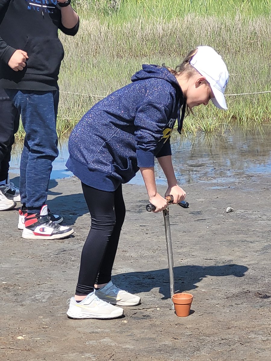 ted peters tweet media