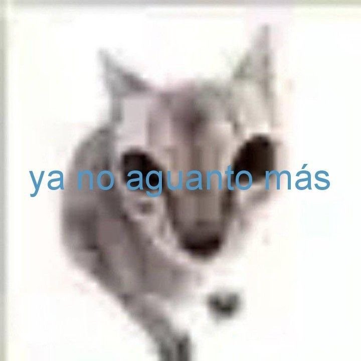 mi mamá me acaba de ver tomando agua y me dijo ojalá te mueras ahogada esto es lo q es vivir con una esquizo diagnósticada