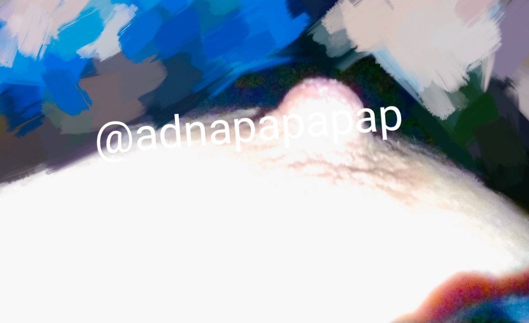 🐼