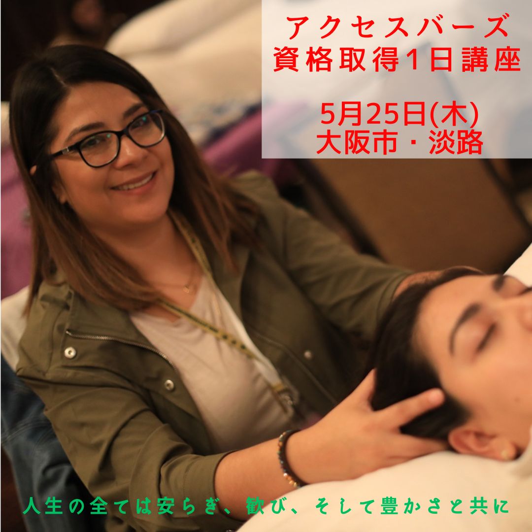 売り切り商品 【】 アクセスコンシャスネス 4種 バーズ等 - comlas.org