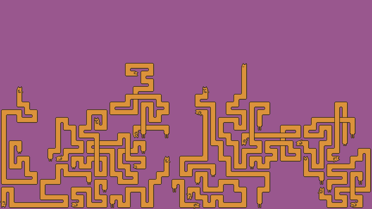 cat friends tweet media