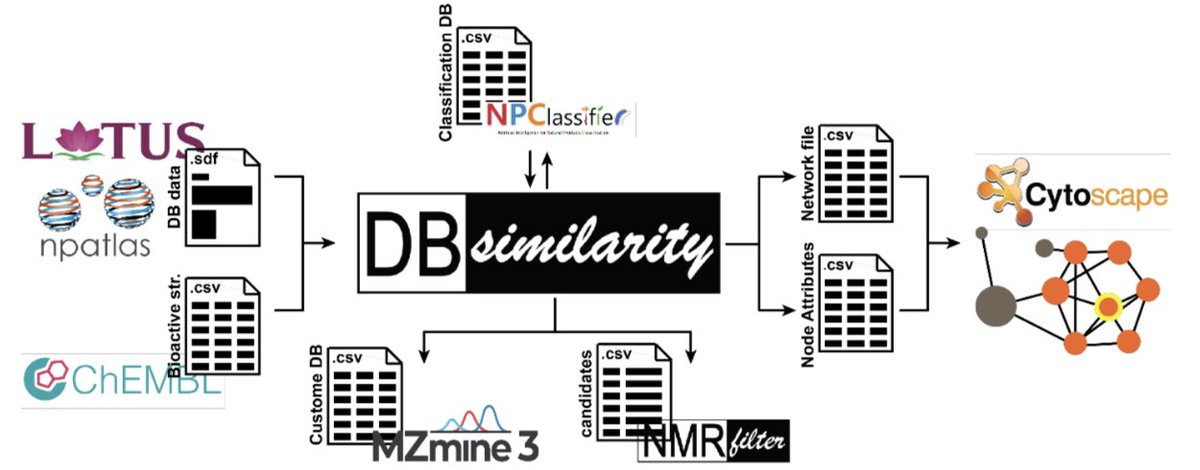 ricardo moreira borges tweet media
