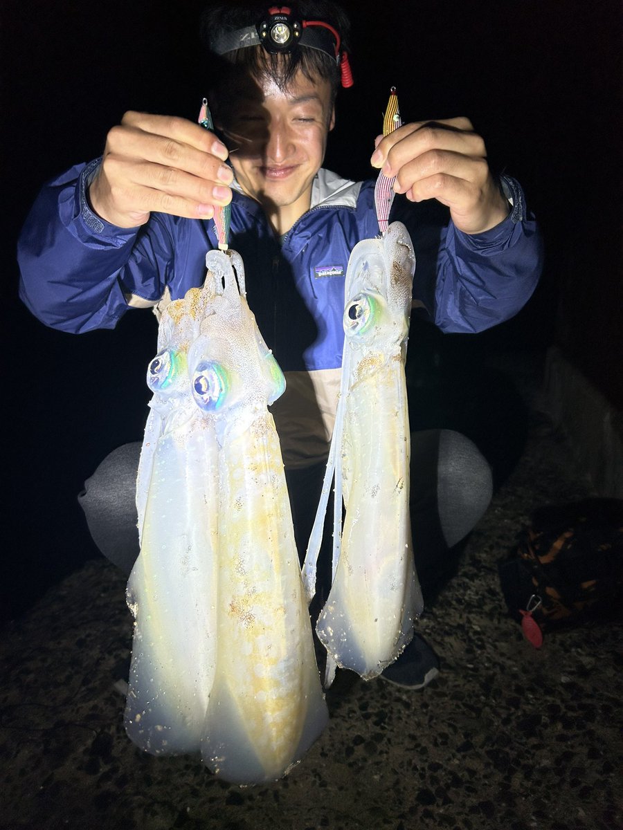 kagawaAngler007's tweet photo. 春イカちゃーん🦑

先輩と二人で1.5 1.6 1.2キロ捕獲
今年の釣り幸先良すぎて怖い。

#春イカ https://t.co/oznS3m7aMy