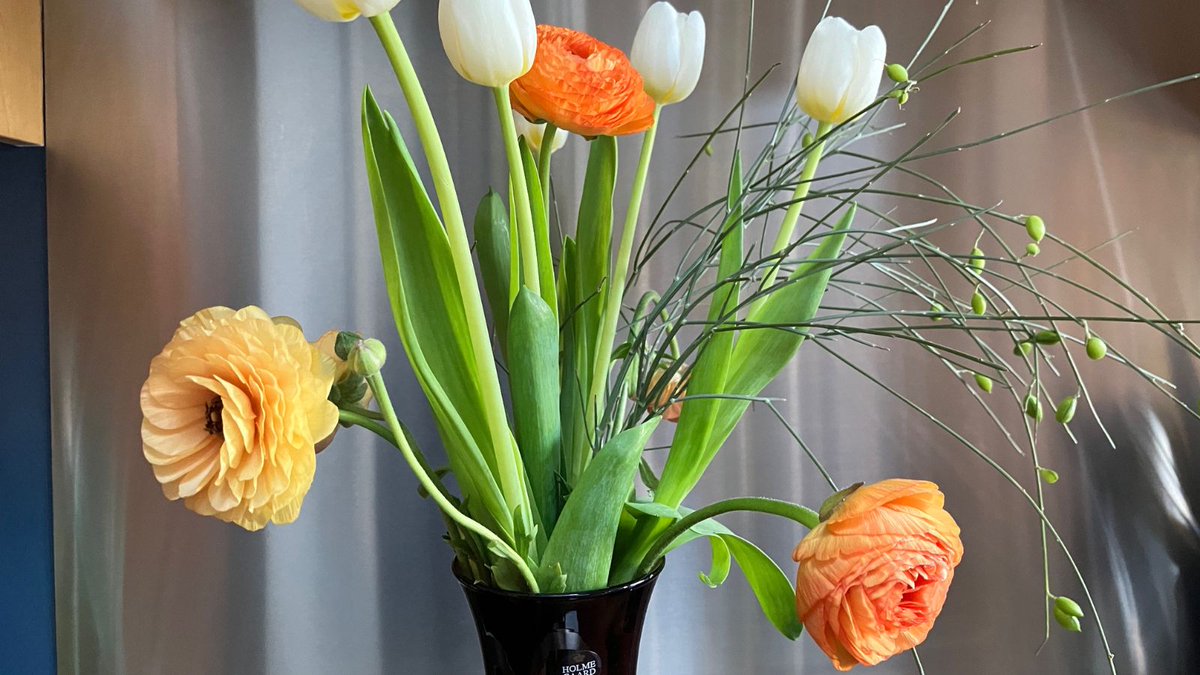 Happy weekend!

Photo of some beautiful ranunculus and tulips from the very talented florist Joanna Keeley in York (was collecting some beautiful birthday bouquets so couldn't help choosing a few flowers for me too 🙂).

#WeekendVibes #FlowersMakePeopleHappy