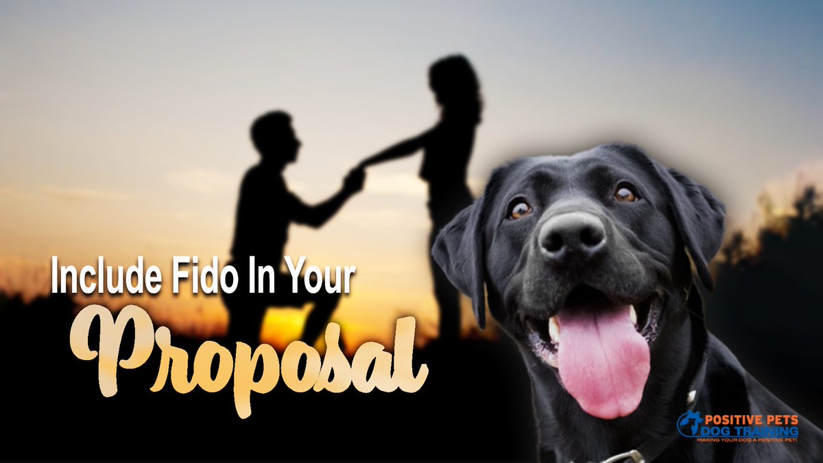 Including Your Dog in Your Proposal | positivepetsboise.com/including-your…