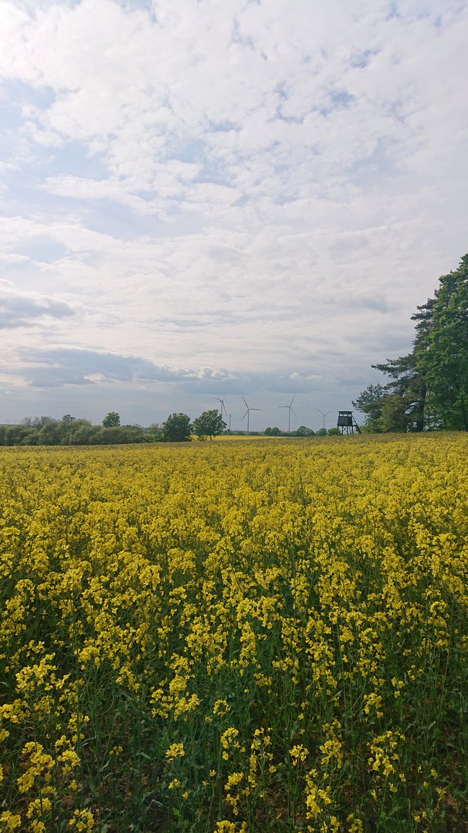 ppust's tweet image. Energiewende +morgentau-plan..... Brandenburg