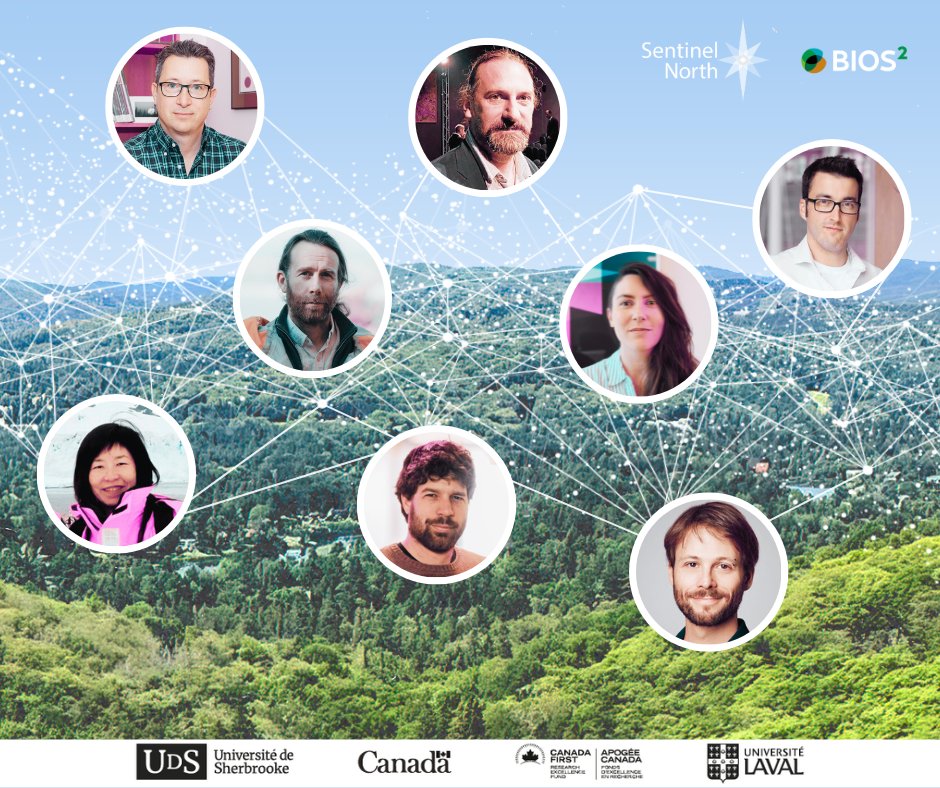 Sentinelle Nord | Sentinel North tweet media