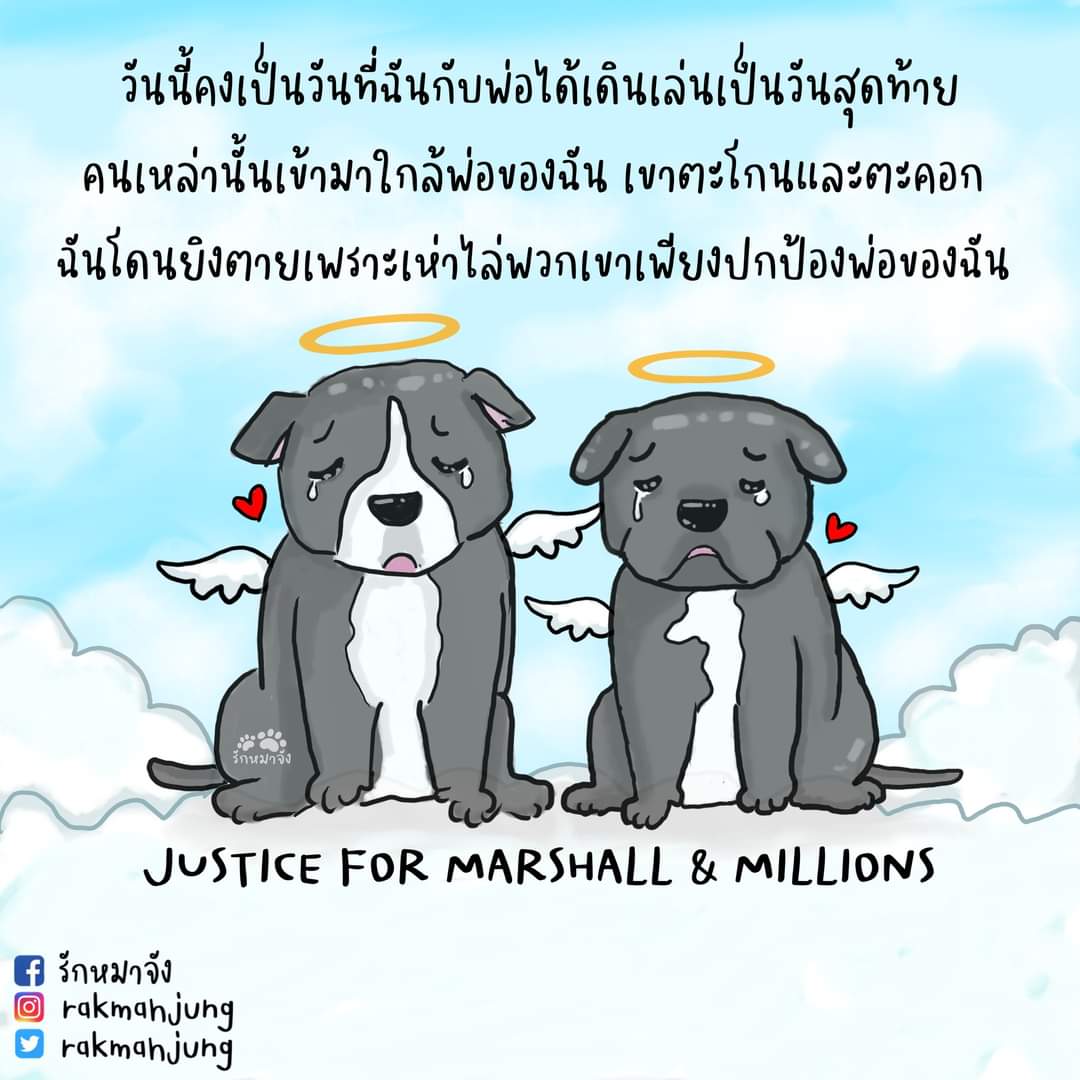 ช่วยกันนะคะ 🤍🐶🐶
น่าสงสารข่าวนี้ สะเทือนใจมาก
JUSTICE FOR MARSHALL AND MILLIONS
#รักหมาจัง
#marshallandmillions 
#justiceformarshallandmillions
ลงชื่อเพื่อขอความเป็นธรรมให้น้องได้ที่ลิงค์นี้ค่ะ
chng.it/pMLcxCSbdP