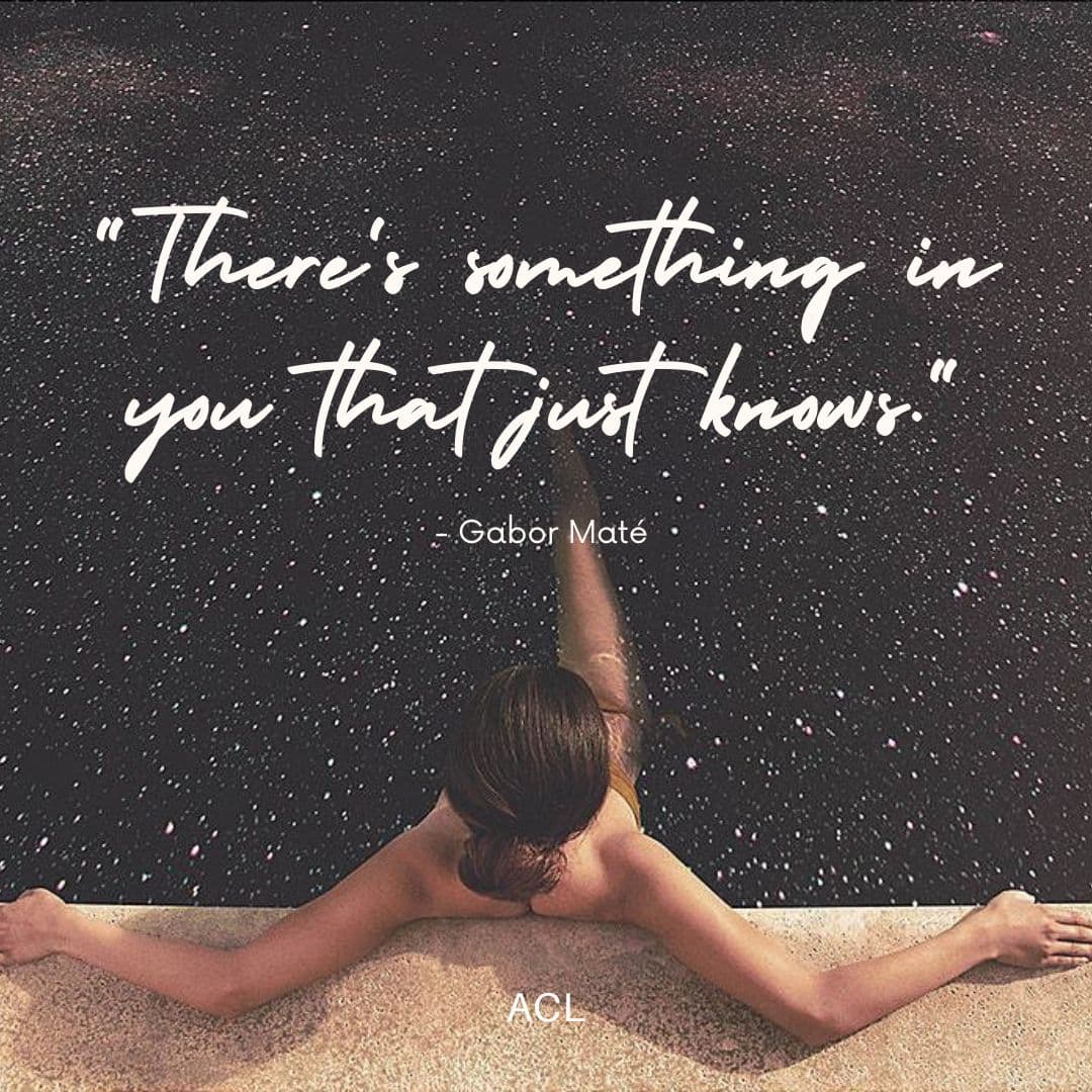 There's something in you that just knows. - Gabor Mate 
#quotes #quote #quotesdaily #quoteoftheday #gabormate #gabor