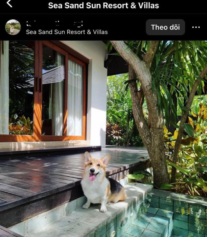 BuildPoi's tweet photo. Below is a picture of them dating and hanging out together at the Resort. Picture 1 is Milk tag with the resort name, 
picture 2 is Noeul at that Resort and finally a room at that resort
@Noeul_lee6 @panlyyy #Noeulnuttarat #milkpansa #BossNoeul #MilkLove #BoNoh #MagentaBoy https://t.co/sqC42rIZ59