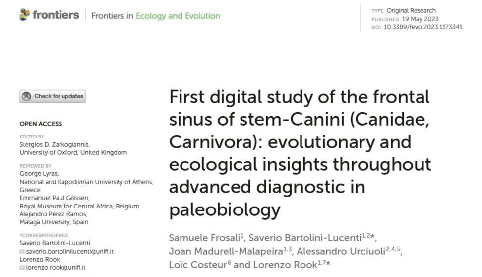 Saverio Bartolini Lucenti tweet media