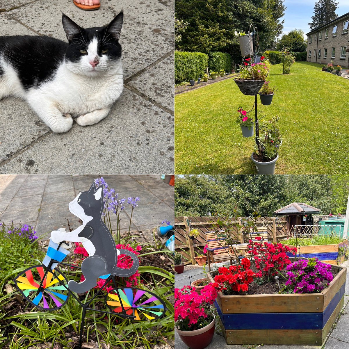 Amy Morgan tweet media