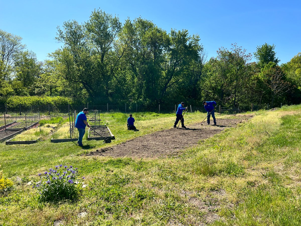 They rolled up their sleeves, got their hands dirty, and discovered the true power of farming for the community. 

From clearing the planting areas to actively improving the farm, they were like superheroes with shovels!

@EversourceMA 
#GroundworkLawrence