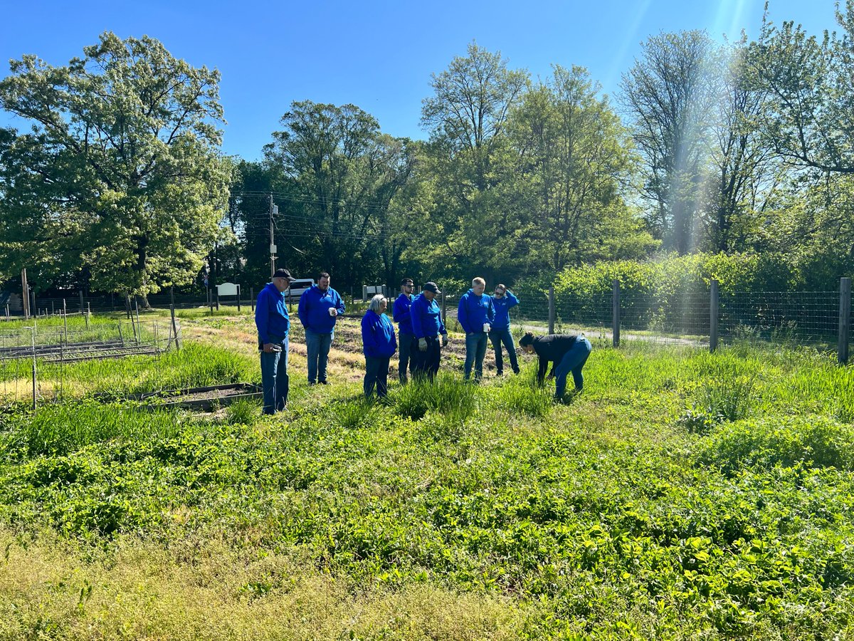 But hey, we're not done yet!

We need all the helping hands we can get. If you're ready to dive into some farming fun, reach out to our very own Eddie Rosa at erosa@groundworklawrence.org or call (978) 974-0770 ext 7019.
#GroundworkLawrence