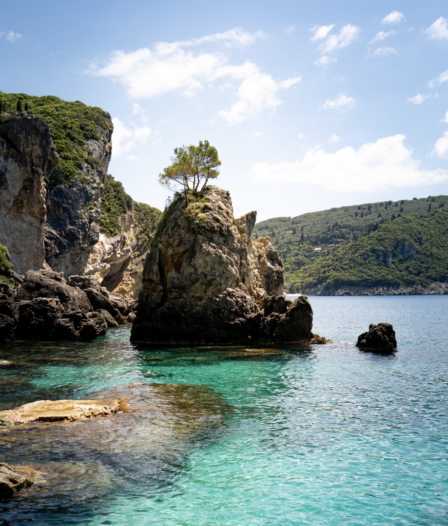 Tom Savano Cocktails tweet media