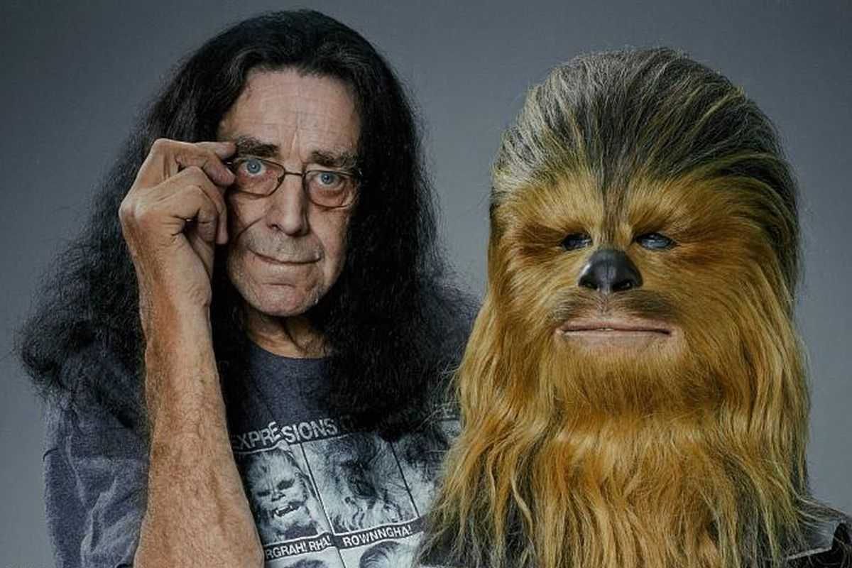 RT @PopHorrorNews: Remembering the late Peter Mayhew (1944-2019) on what would have been his 79th birthday... #RIP https://t.co/mx2vNDVi6l