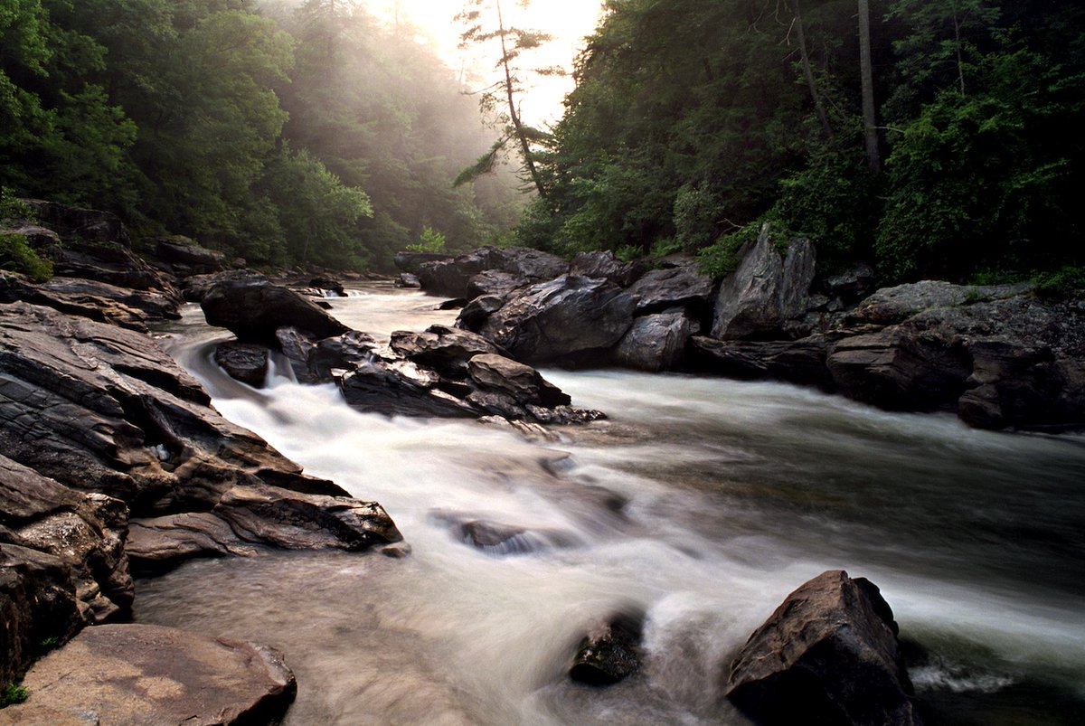selc_org's tweet photo. In a victory for the health of Georgia’s Chattooga River, Alabama’s Weiss Lake, and downstream communities, a major textile mill in northwest Georgia has committed to permanently cease the use of PFAS or 'forever chemicals.' 

Learn more: https://t.co/dgq2YuUxbu https://t.co/G33jB4LzKb