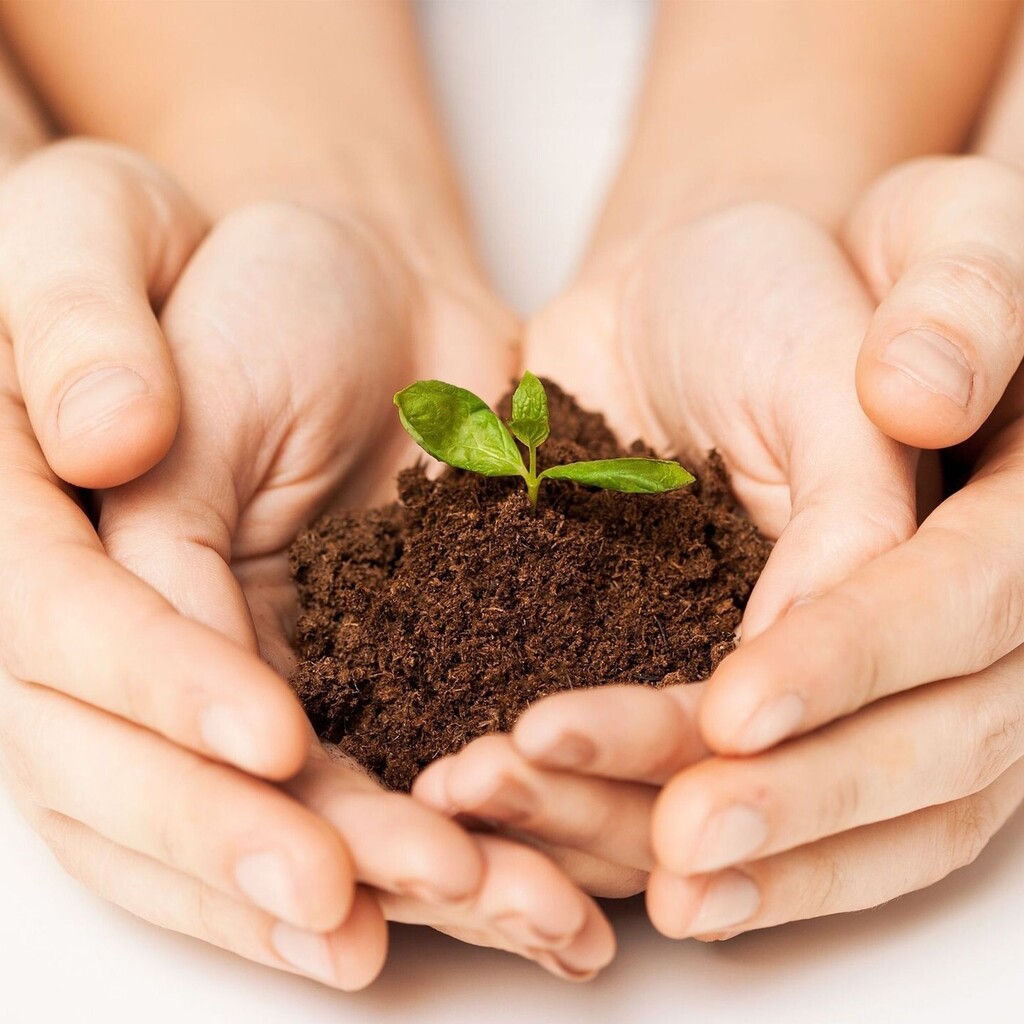 TesNaturales's tweet photo. Cultiva salud en tu familia y tendrás una familia saludable 🌱 #Salud https://t.co/L5LmIg7Trq