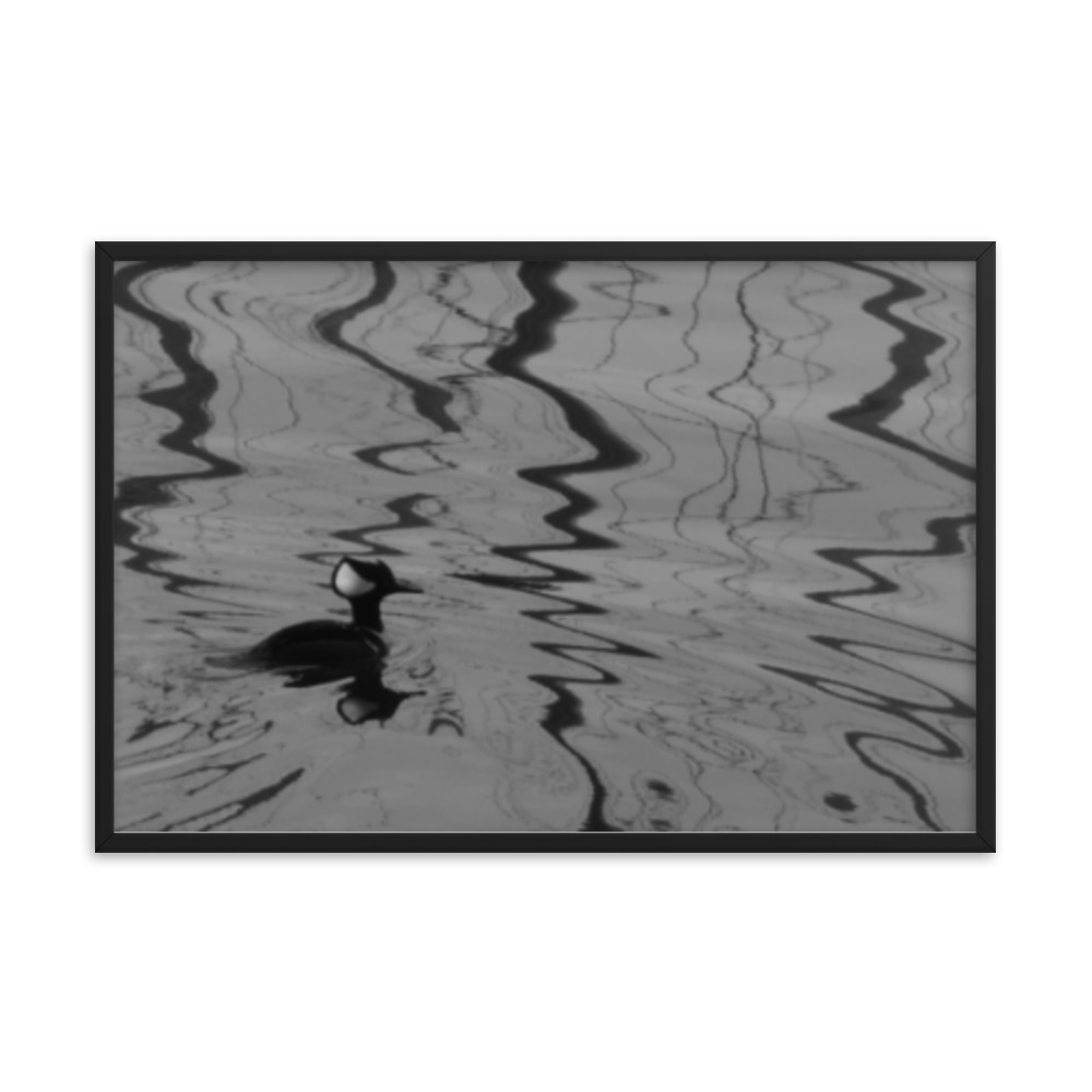 iWillWander's tweet photo. Framed Print Poster - B + W Bird Swimming
Black and white poster of a bird swimming - All i Will Wander prints are sold only once. One of a kind.
#blackandwhite #prints #photoart #photography #printphotography #printart #artphotography https://t.co/5ftk3odTvr