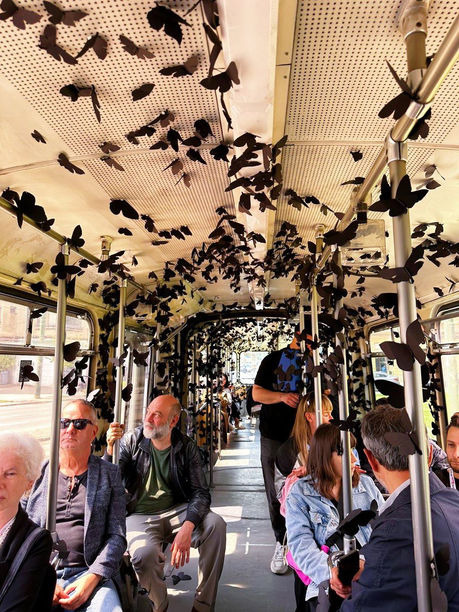 Timișoara 2023 tweet media