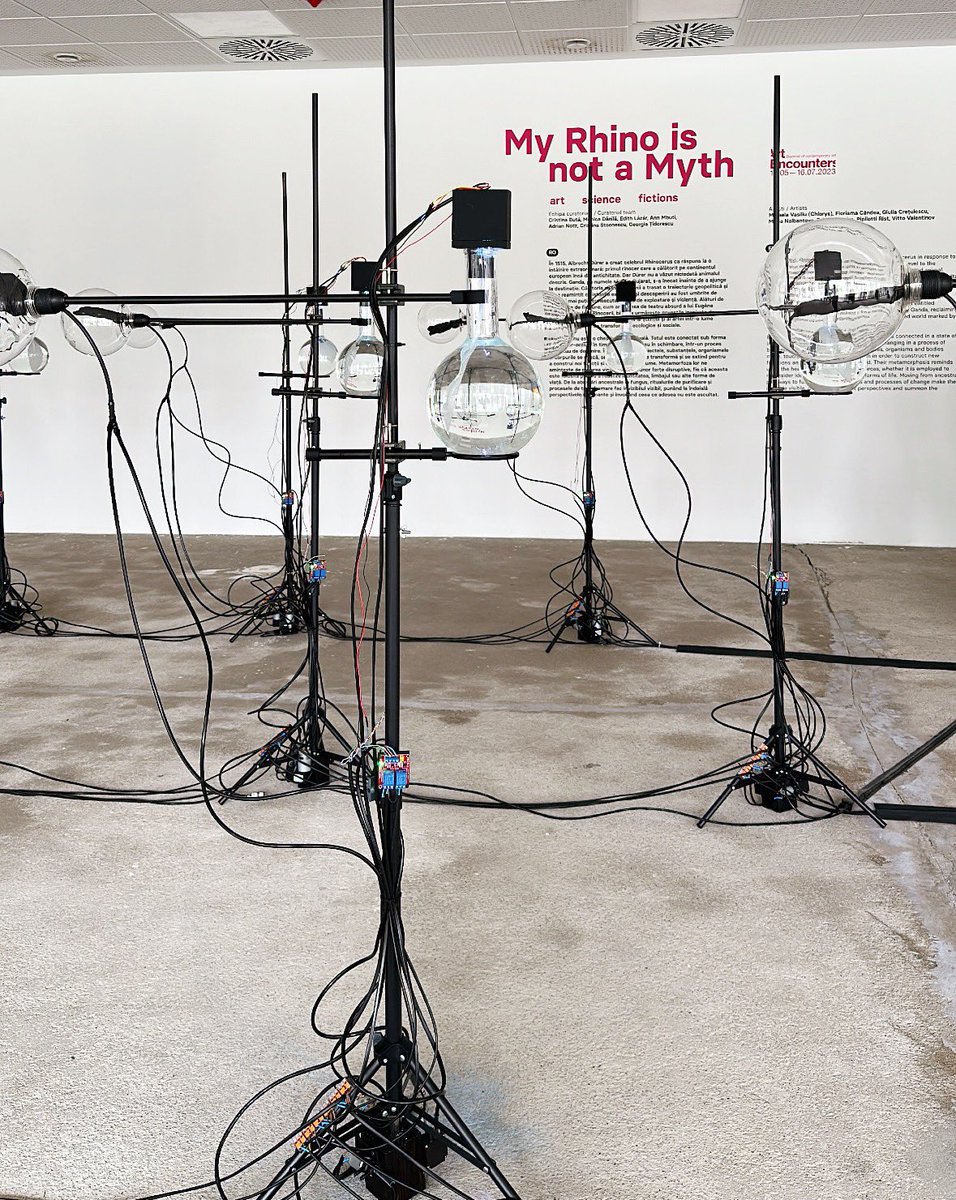 🟡 The opening weekend of the #ArtEncounters Biennale has begun!

#TM2023 #ECoC #Timisoara #EuropeanCapitalofCulture #culture #EuropeanCulture #Heritage #Romania #ShineYourLight