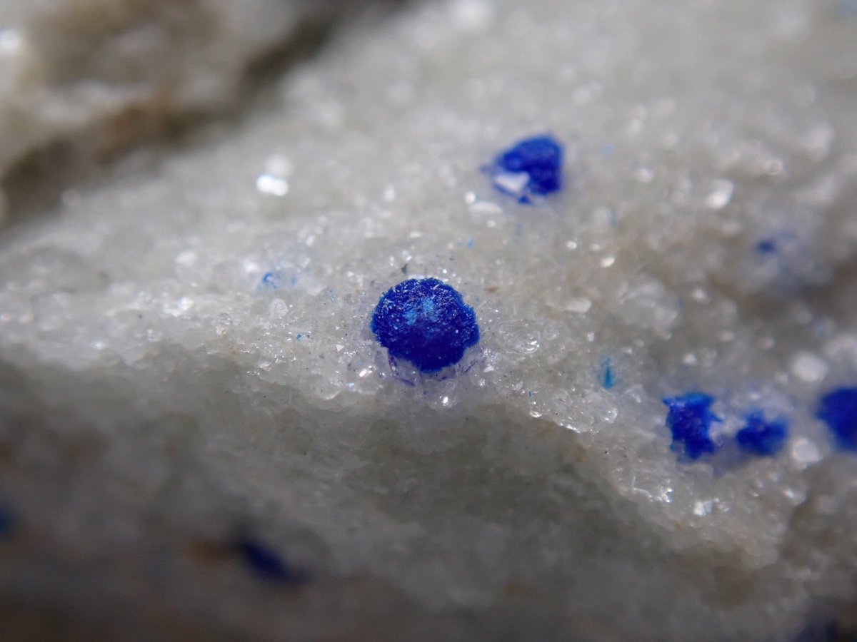 Bump_cloud's tweet image. 昔の写真から。
大隅石、キノ石、天藍石、コルネ鉱