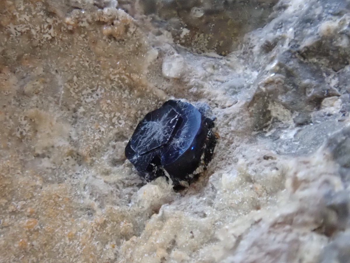 Bump_cloud's tweet image. 昔の写真から。
大隅石、キノ石、天藍石、コルネ鉱