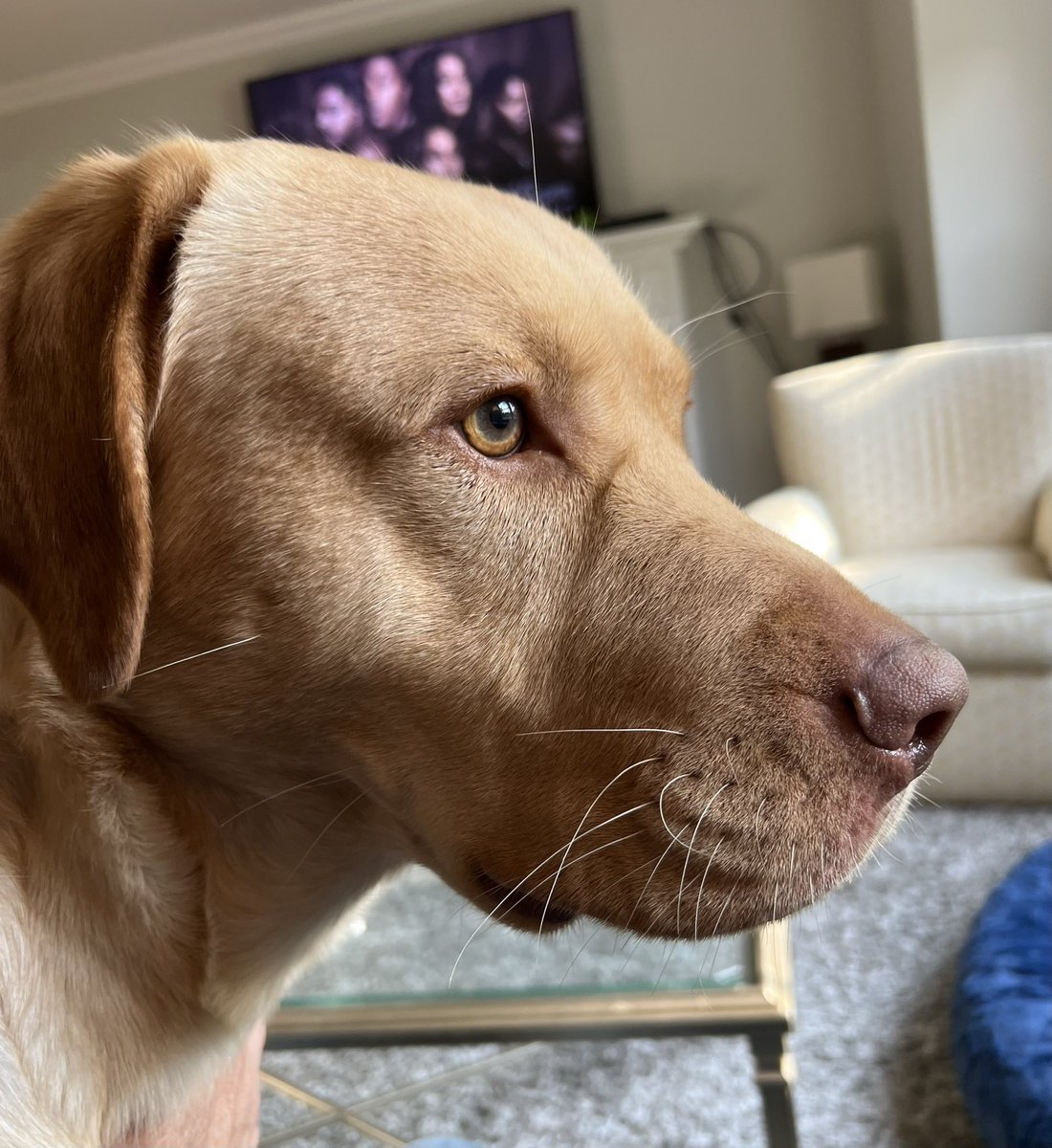 Jon Cooper 🇺🇸 tweet media