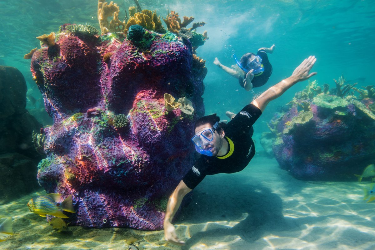 on Twitter "Did you know you get unlimited