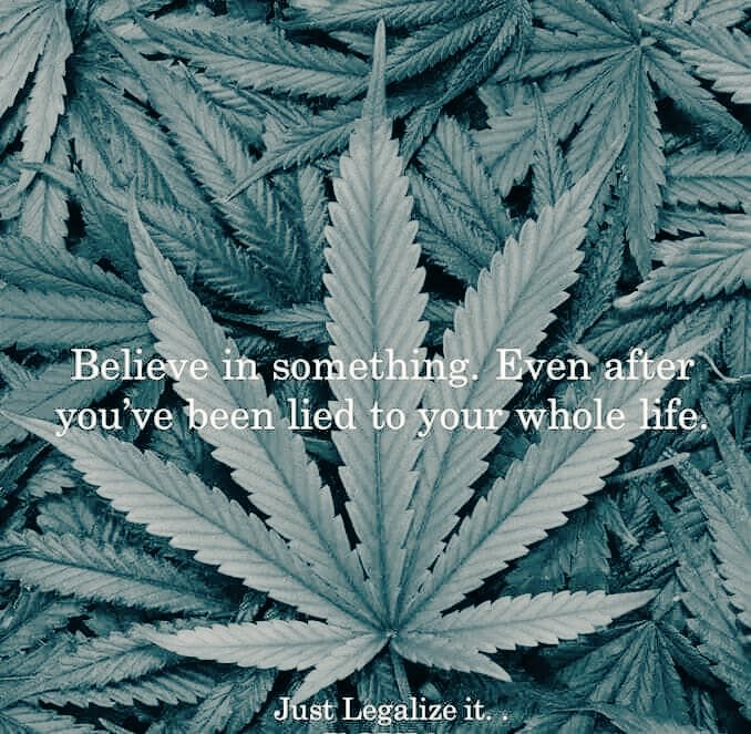 AbilityEnabler's tweet image. Good Morning @foxandfriends @FoxNews
Nice questions/concerns regarding #Cannabis #Marijuana today but, Facts is: If their (today&apos;s) options are so good why fear legal, free &amp;amp; Natural competition, especially one that&apos;s been Forever SAFER 🤔 #ValidateIt🇺🇸 Pills Kill Herb Heals💚