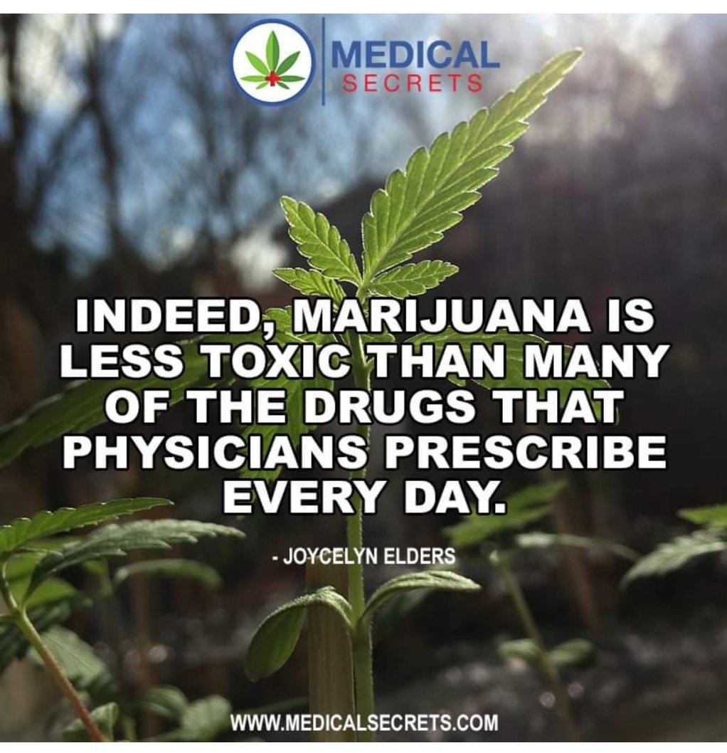 AbilityEnabler's tweet image. Good Morning @foxandfriends @FoxNews
Nice questions/concerns regarding #Cannabis #Marijuana today but, Facts is: If their (today&apos;s) options are so good why fear legal, free &amp;amp; Natural competition, especially one that&apos;s been Forever SAFER 🤔 #ValidateIt🇺🇸 Pills Kill Herb Heals💚