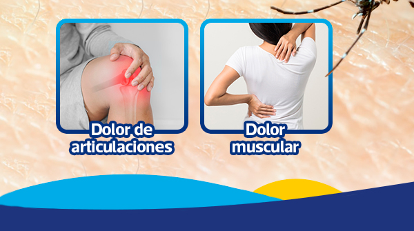MuniLima's tweet photo. 🦟 ¡Mantente alerta a los síntomas del dengue! Y recuerda que el @Minsa_Peru cuenta con laboratorios de diagnóstico, a fin de lograr la detección oportuna de este virus.

📢 ¡Comparte esta información para que llegue a más vecinos! https://t.co/HhNlFPpEyu