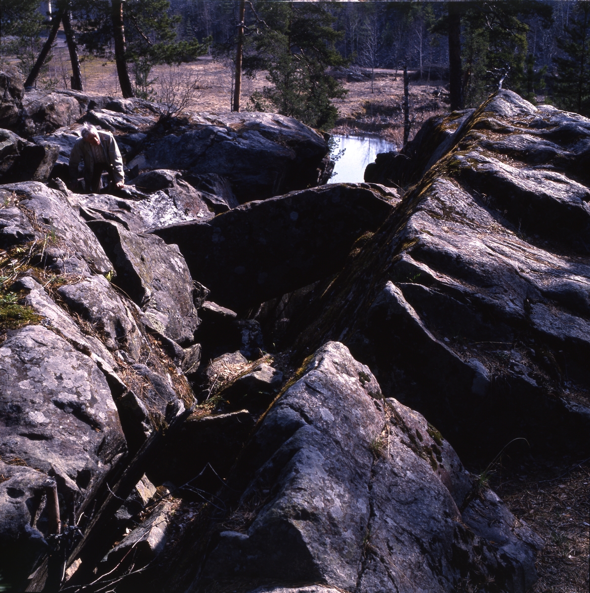 hilding_bot's tweet photo. 1993
Avbildad plats: Sverige, Hammarstrand
Nyckelord: Man, Sten, Träd, Älv
CC BY-NC Hilding Mickelsson
Kringla: https://t.co/H0P2fuBoLt
URI: https://t.co/NMayYKEgBM https://t.co/NUw6JWdcHr
