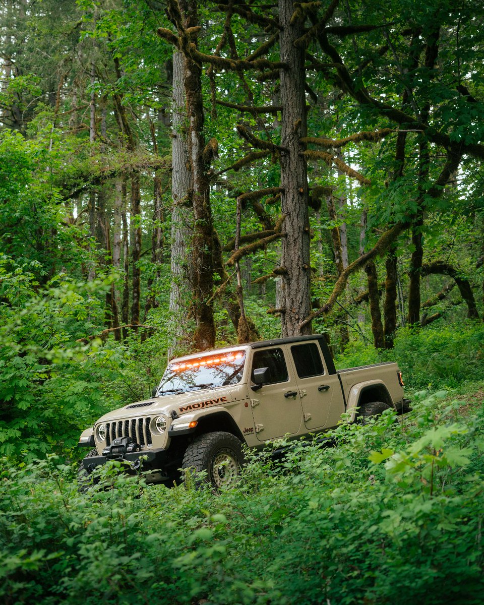 It's #FrontEndFriday Time to explore with @Wildrnss #AdventureAwaits #Quadratec #jeepnation #FEF #Jeeplife