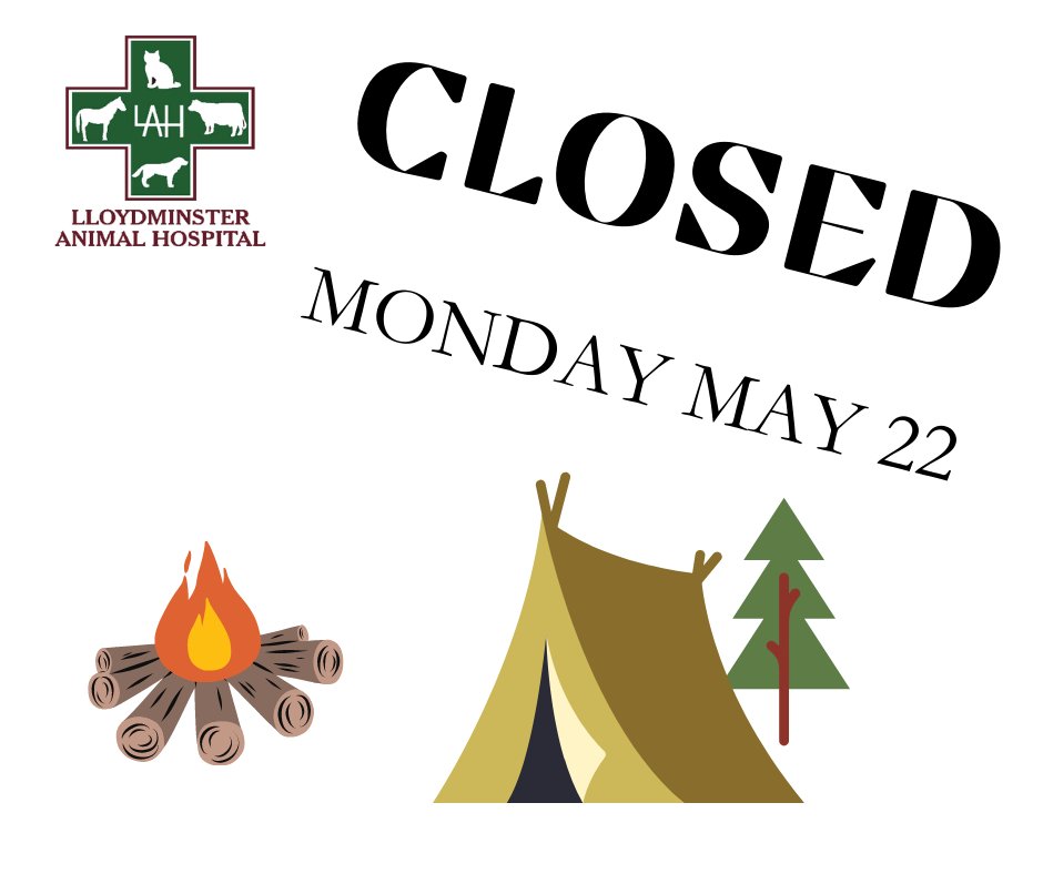 We will be closed on Monday, May 22!  Our emergency vet is on call 24/7 if you need assistance- just call 780 875-5733