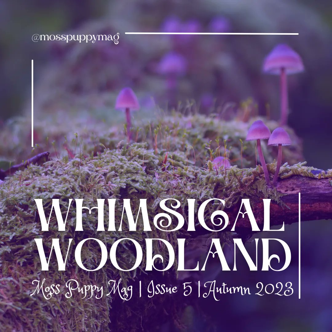 Moss Puppy Mag 🌿🐶 | OPEN FOR SUBS tweet media