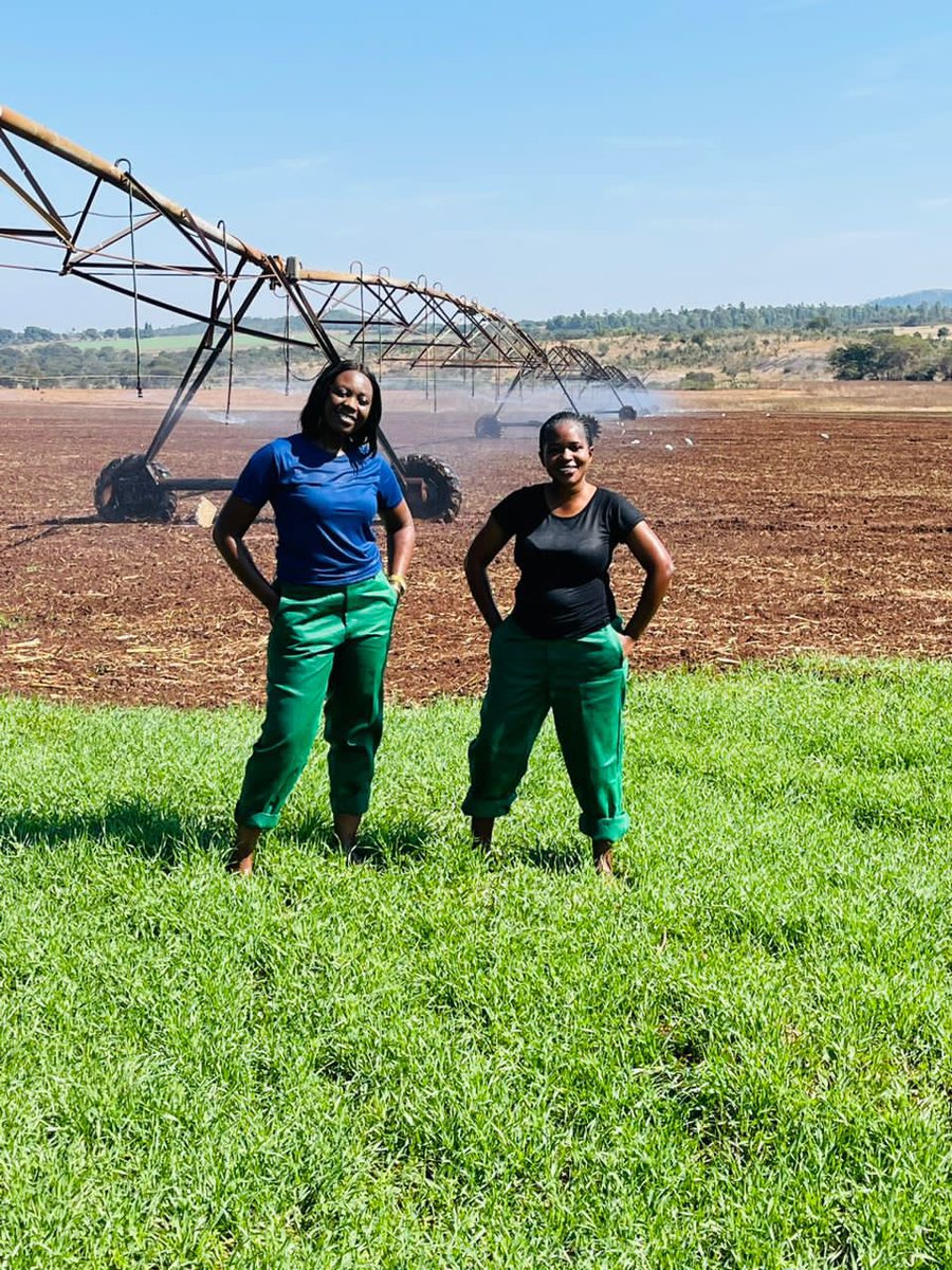 agribusiness1. tweet media